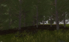farm view