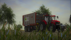 The Beast