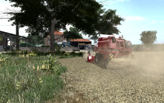 Tarwe 1.png