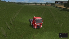 5000 bomen later.jpg