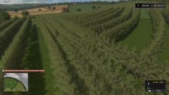 enorme plantage.jpg