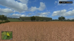 groot blok bos.jpg