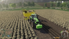 Poters rooien