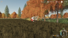Koolzaad 1